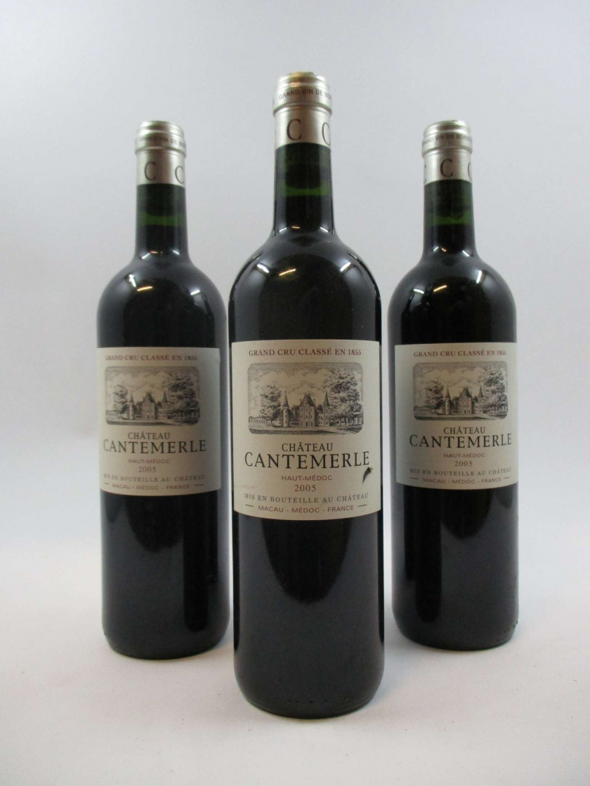 12 bouteilles CHÂTEAU CANTEMERLE 2005 5è GC Haut Médoc (3 étiquettes léger déchirées)