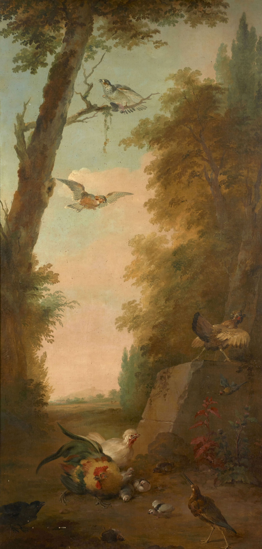 Aert SCHOUMAN Dordrecht, 1710 - La Haye, 1792 Oiseaux sauvages, exotiques et de basse-cour dans un parc arboré Paire d'huiles sur to..