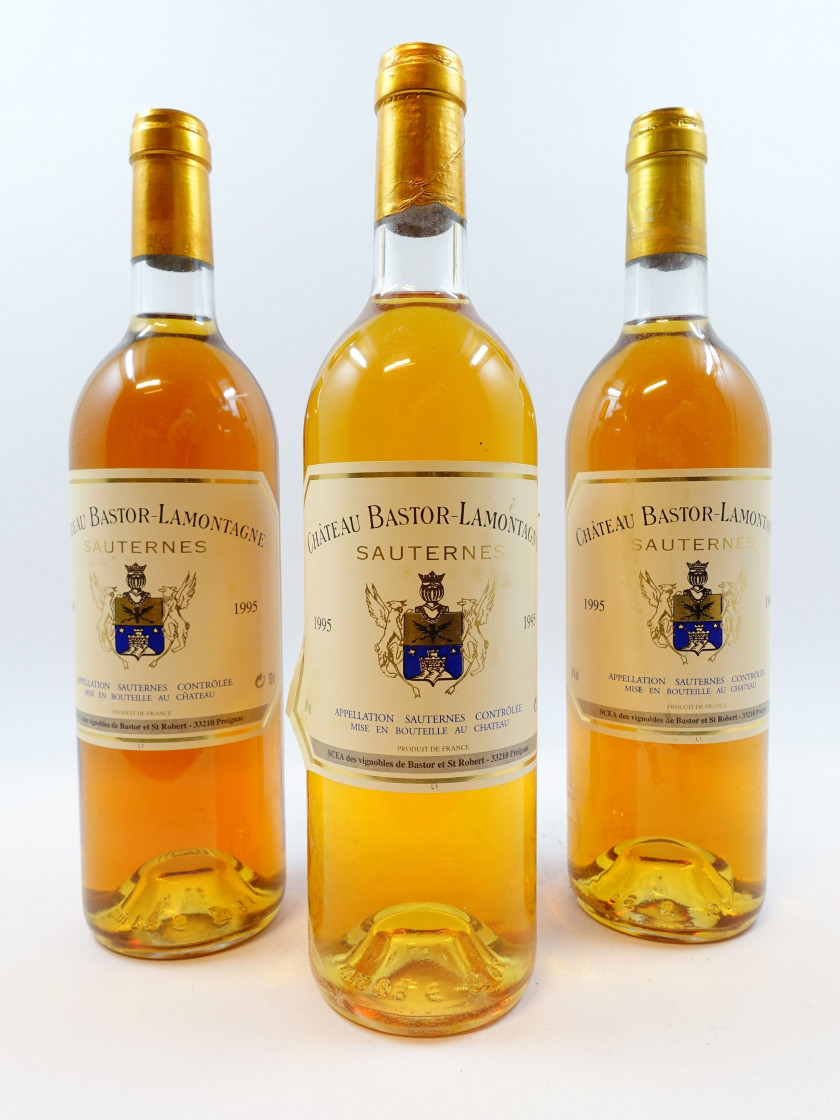 6 bouteilles CHÂTEAU BASTOR LAMONTAGNE 1995 Sauternes (base goulot