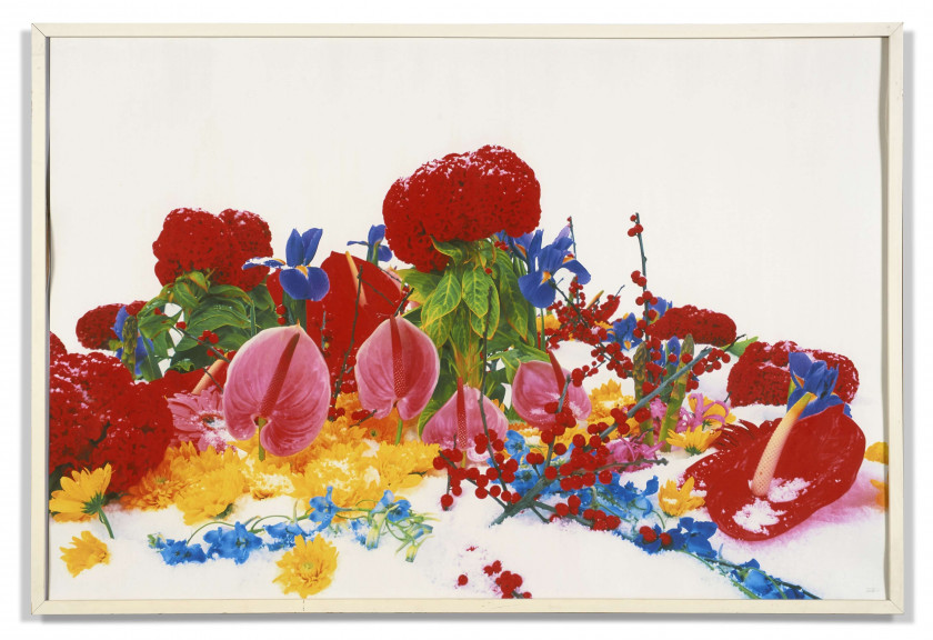 Marc QUINN (Né en 1964) Winter Garden - 2004 Impression pigmentaire