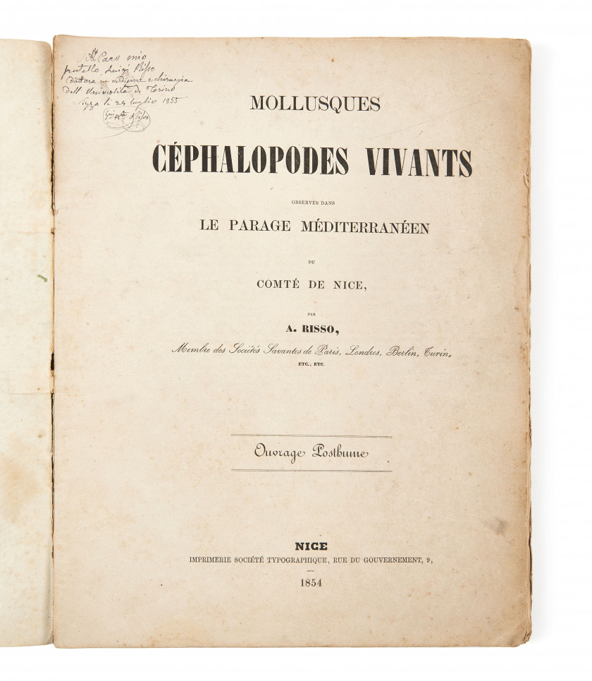 RISSO (Joseph Antoine)  Mollusques céphalopodes vivants observés dans le parage méditerranéen du comté de Nice. Ouvrage posthume.