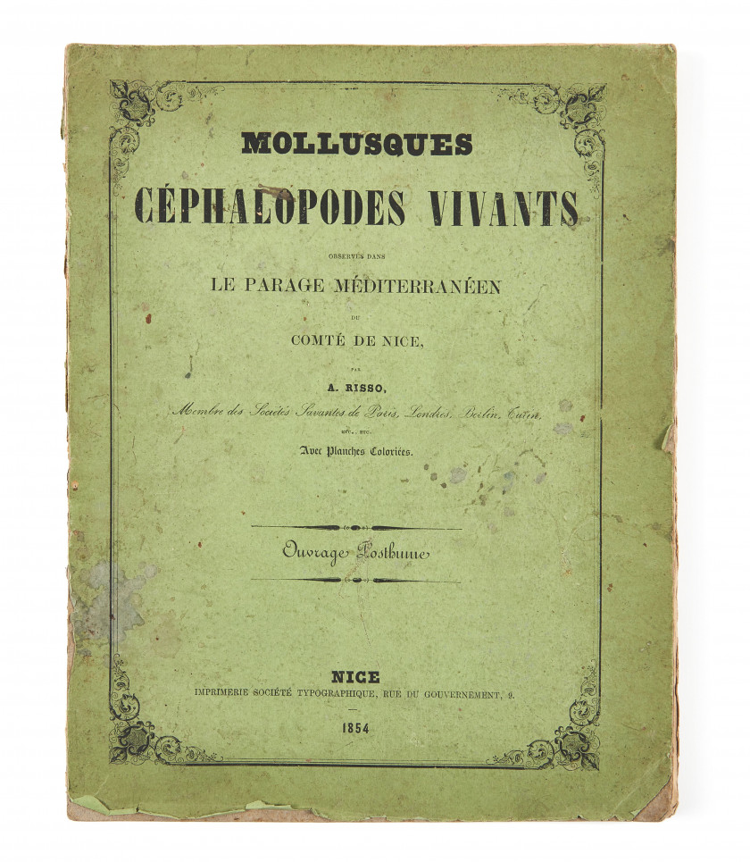 RISSO (Joseph Antoine)  Mollusques céphalopodes vivants observés dans le parage méditerranéen du comté de Nice. Ouvrage posthume.