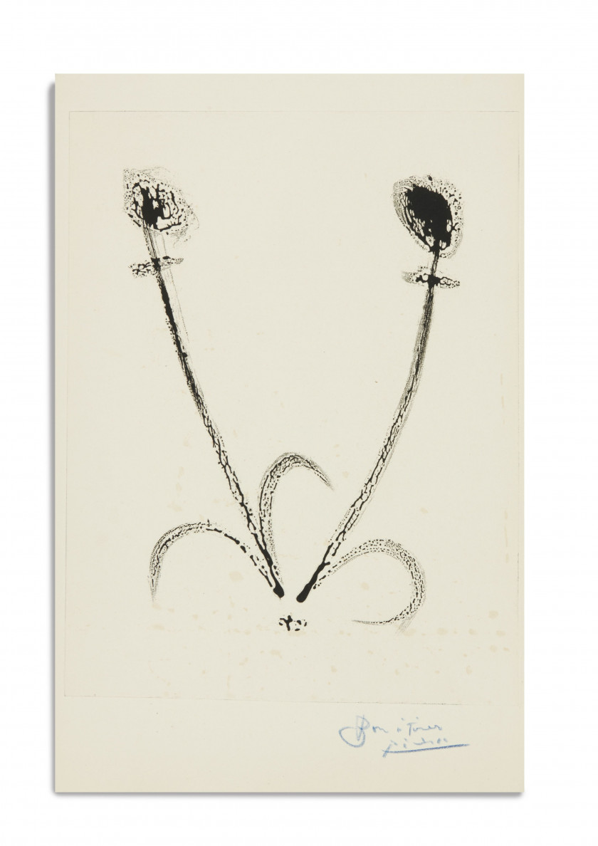 PICASSO.- CÉSAIRE (Aimé)  Corps perdu.