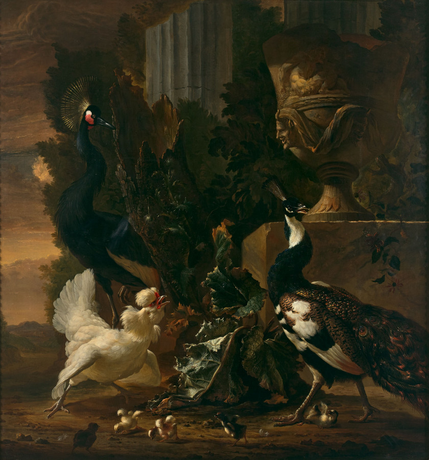 Abraham BISSCHOP Dortrecht 1670 - Middelbourg 1731 Paon, grue couronnée, poule et poussins dans un parc Huile sur toile