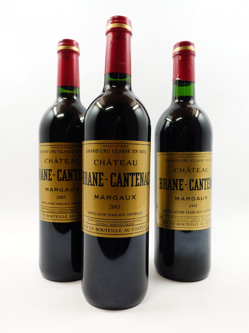 3 bouteilles 1 bt : CHÂTEAU BRANE CANTENAC 1995 2è GC Margaux (étiquette fanée)