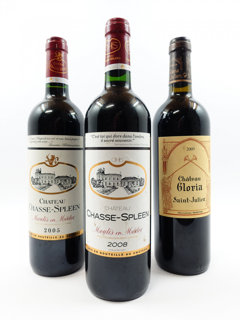7 bouteilles 3 bts : CHÂTEAU GLORIA 2005 Saint Julien (étiquettes fanées)