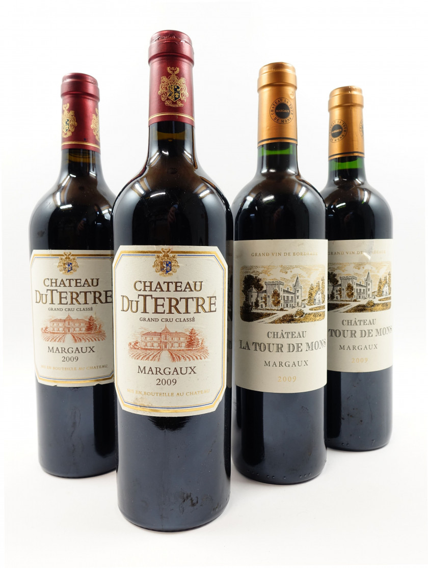 10 bouteilles 5 bts : CHÂTEAU DU TERTRE 2009 5è GC Margaux (étiquettes fripées, léger tachées)