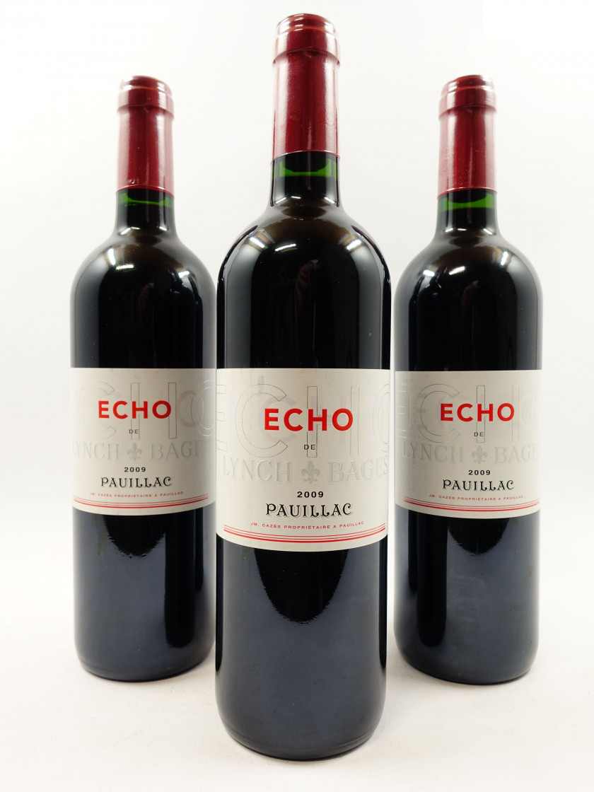 6 bouteilles ECHO DE LYNCH BAGES 2009 Pauillac