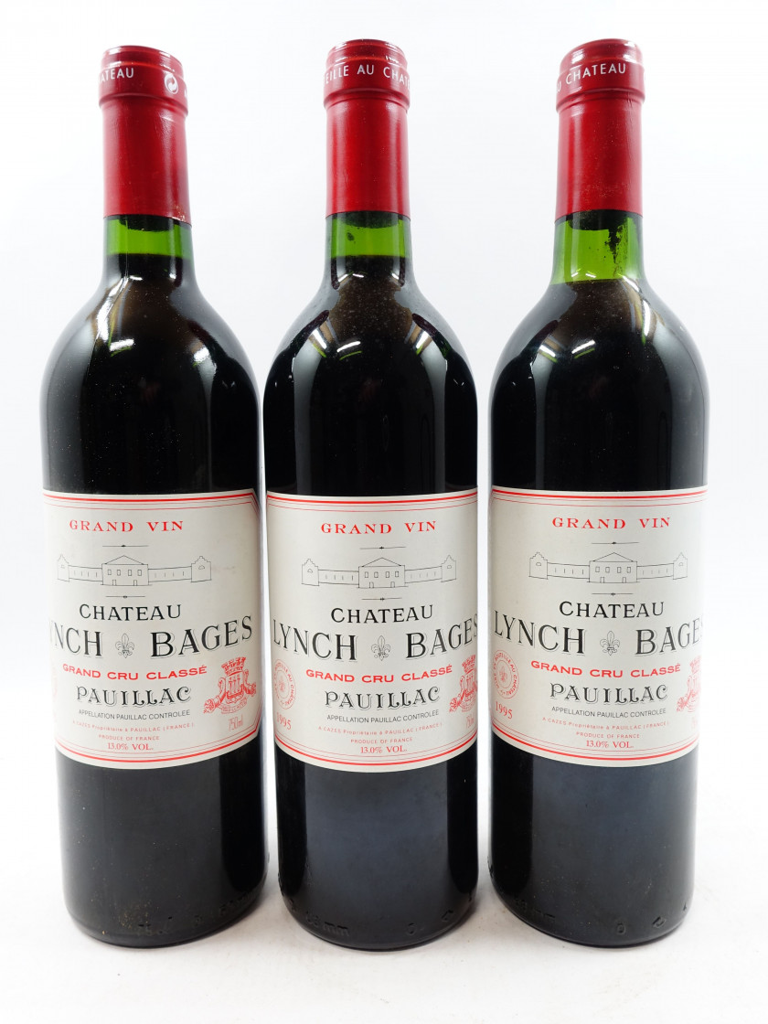 12 bouteilles CHÂTEAU LYNCH BAGES 1995 5è GC Pauillac (1 légèrement bas