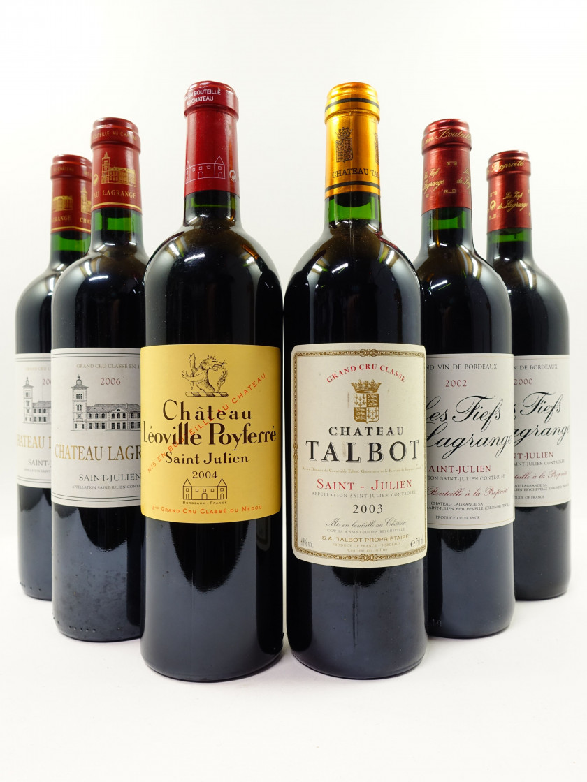 6 bouteilles 1 bt : CHÂTEAU TALBOT 2003 4è GC Saint Julien