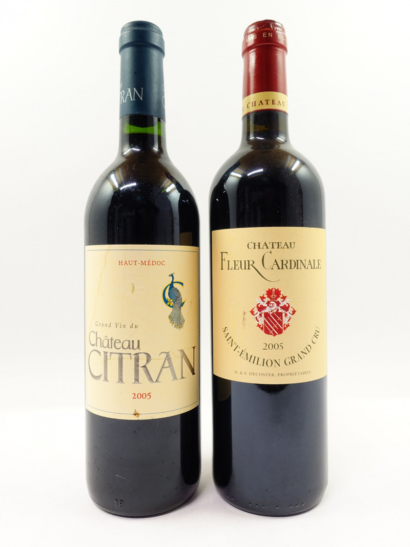 6 bouteilles 3 bts : CHÂTEAU FLEUR CARDINALE 2005 GCC Saint Emilion (étiquettes léger abimées)