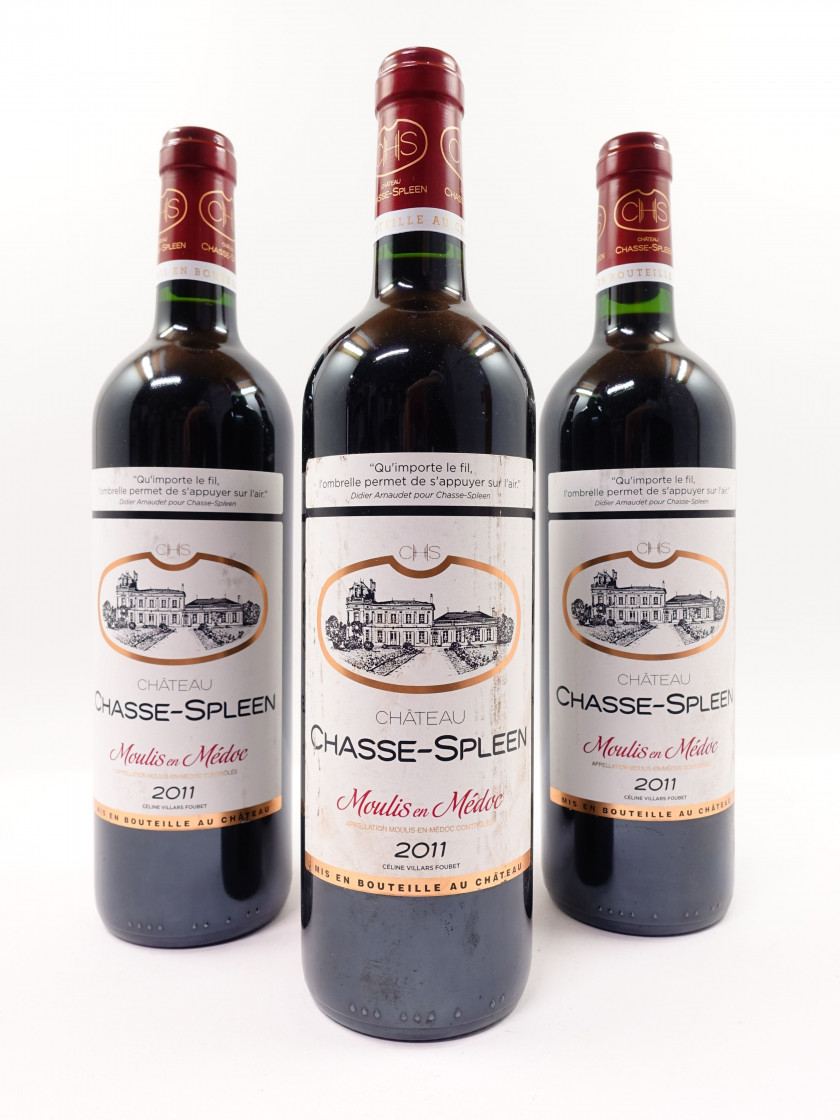 6 bouteilles CHÂTEAU CHASSE SPLEEN 2011 Moulis (étiquettes léger tachées)