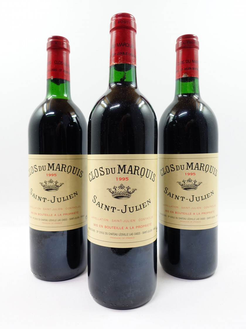 12 bouteilles CLOS DU MARQUIS 1995 Saint Julien (2 base goulot, étiquettes fanées