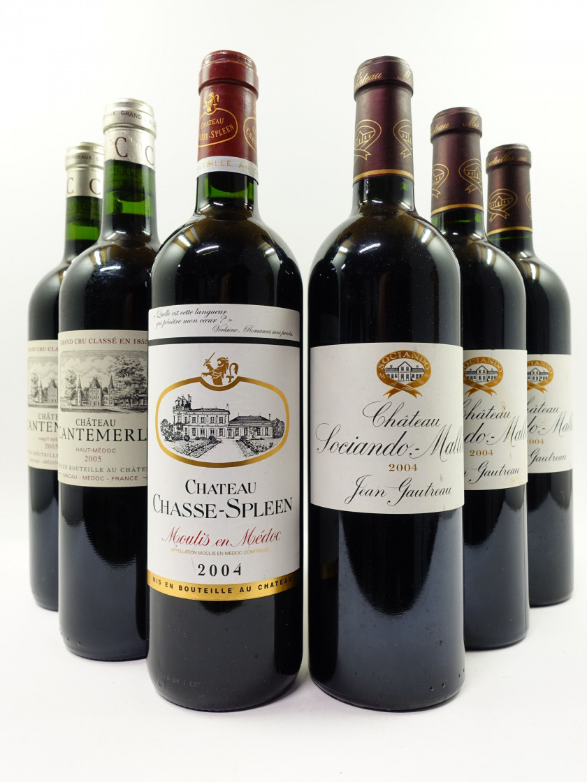 6 bouteilles  2 bts :  CHÂTEAU CANTEMERLE 2005 5è GC Haut Médoc 3 bts :  CHÂTEAU SOCIANDO MALLET 2004 Haut Médoc (étiquettes taché...