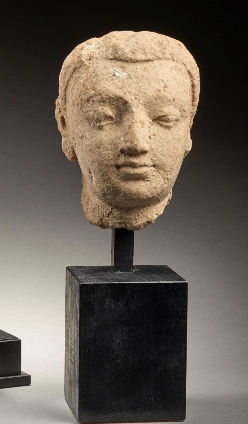 PETITE TÊTE EN STUC  Art Gréco-bouddhique du Gandhara, 4e-5e siècle