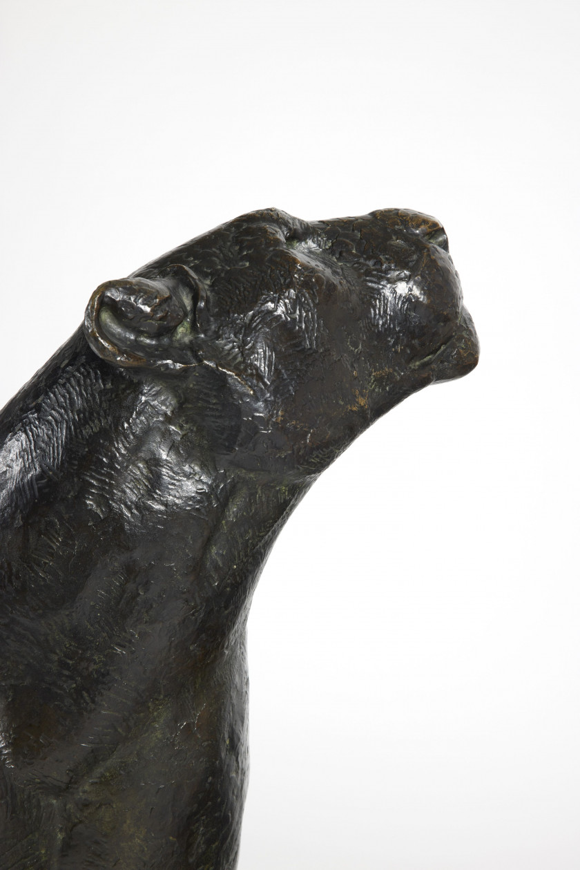Georges-Lucien GUYOT 1885-1973 «Lionne assise tête à gauche» - le modèle créé circa 1930