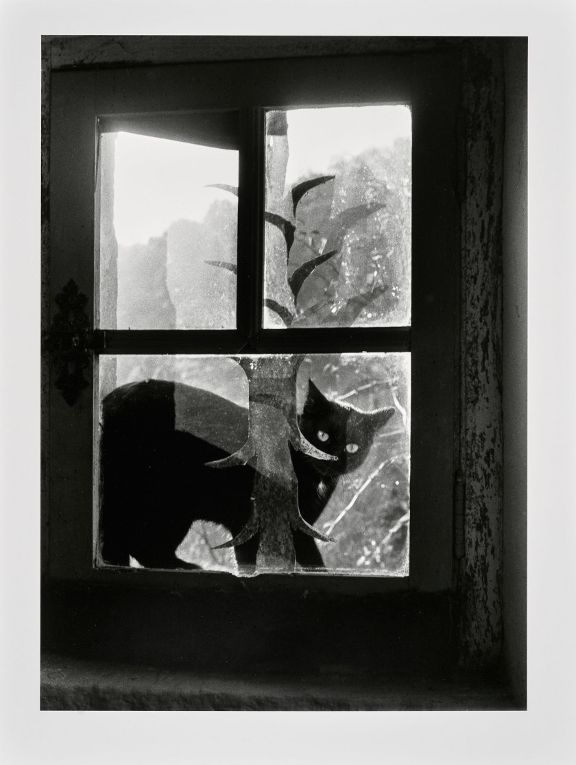 Willy RONIS 1910 - 2009 Chat au fenestron - Gordes, 1959 Épreuve argentique (c. 1990)