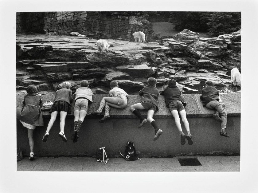 Willy RONIS 1910 - 2009 Zoo de Berlin-Est - Voyage en RDA, 1967 Épreuve argentique (c. 1990)