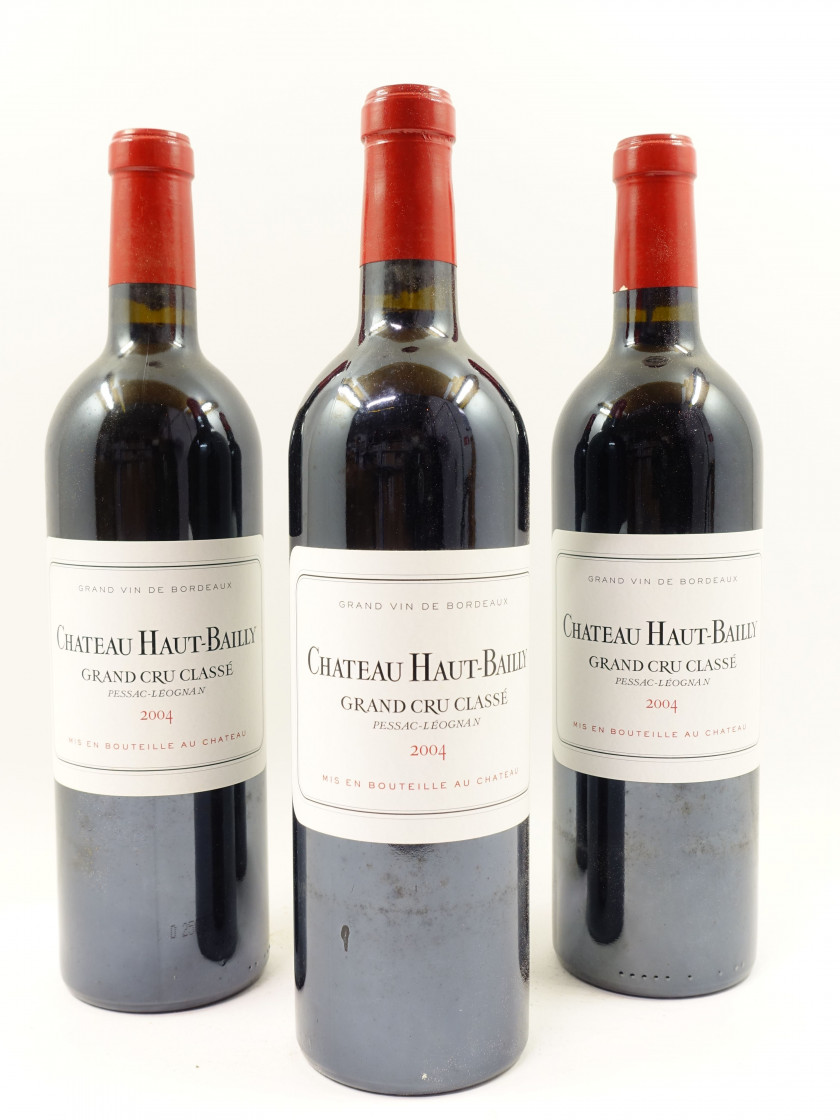 12 bouteilles CHÂTEAU HAUT BAILLY 2004 CC Pessac Léognan