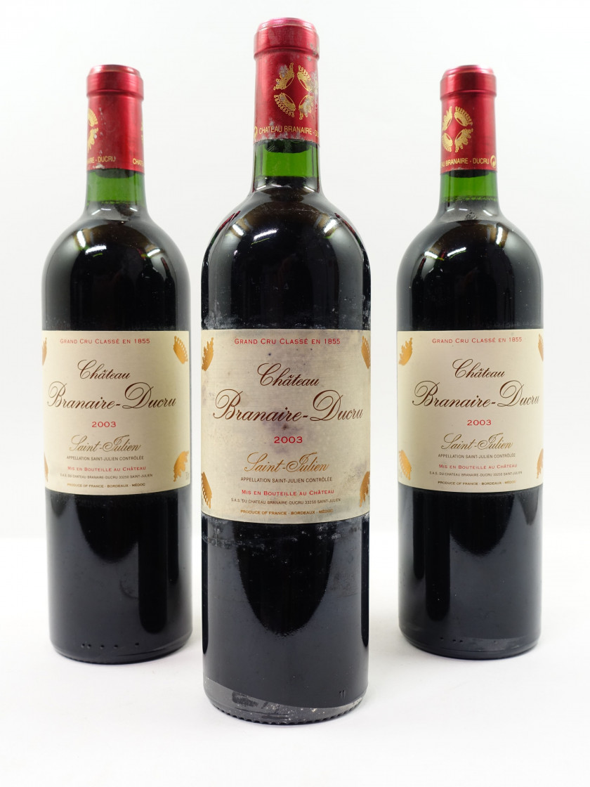12 bouteilles CHÂTEAU BRANAIRE DUCRU 2003 4è GC Saint Julien (étiquettes tachées) Caisse bois d'origine