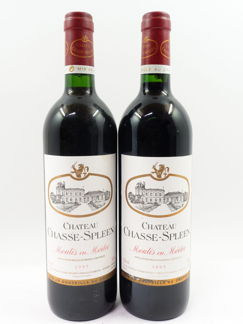 6 bouteilles CHÂTEAU CHASSE SPLEEN 1995 Moulis (étiquettes fanées