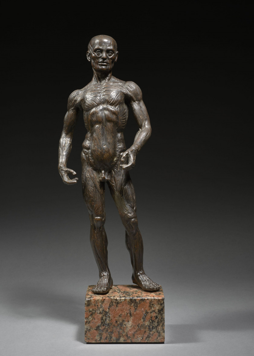 FIGURE EN BRONZE, ITALIE OU FRANCE, TRAVAIL MODERNE Un écorché