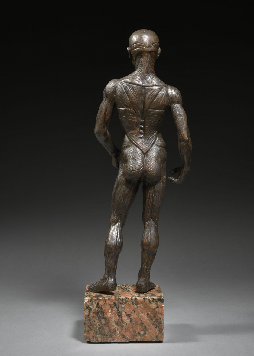 FIGURE EN BRONZE, ITALIE OU FRANCE, TRAVAIL MODERNE Un écorché