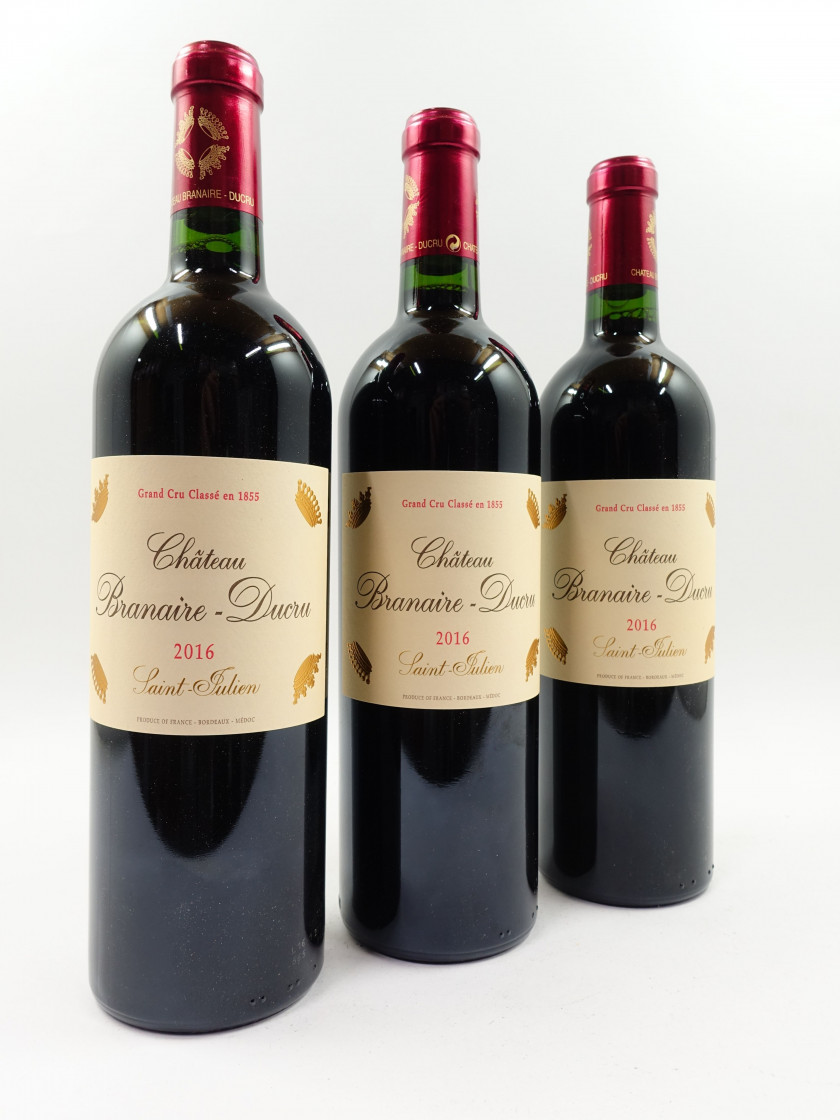 11 bouteilles CHÂTEAU BRANAIRE DUCRU 2016 4è GC Saint Julien
