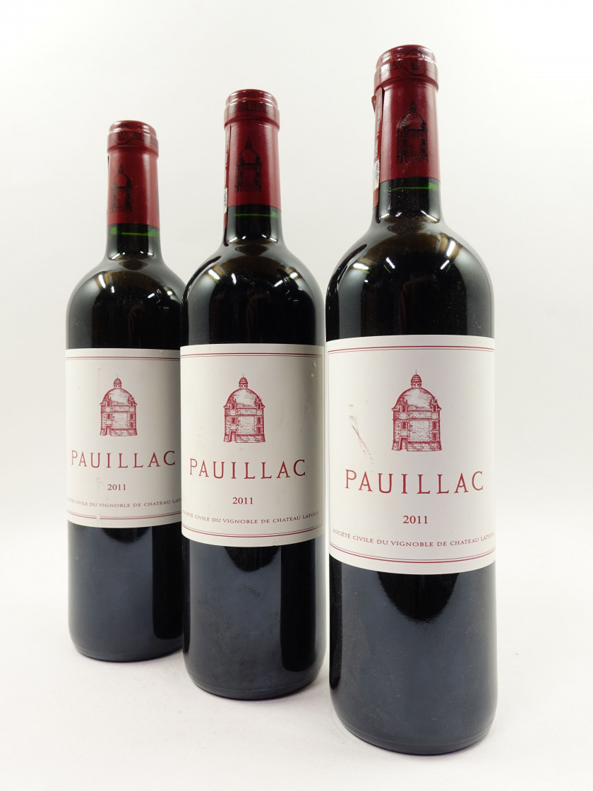 10 bouteilles PAUILLAC DE LATOUR 2011 Pauillac (étiquettes léger déchirées