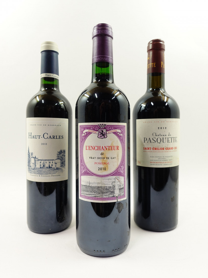 11 bouteilles 6 bts : CHÂTEAU HAUT CARLES 2010 Bordeaux (étiquettes léger abimées)