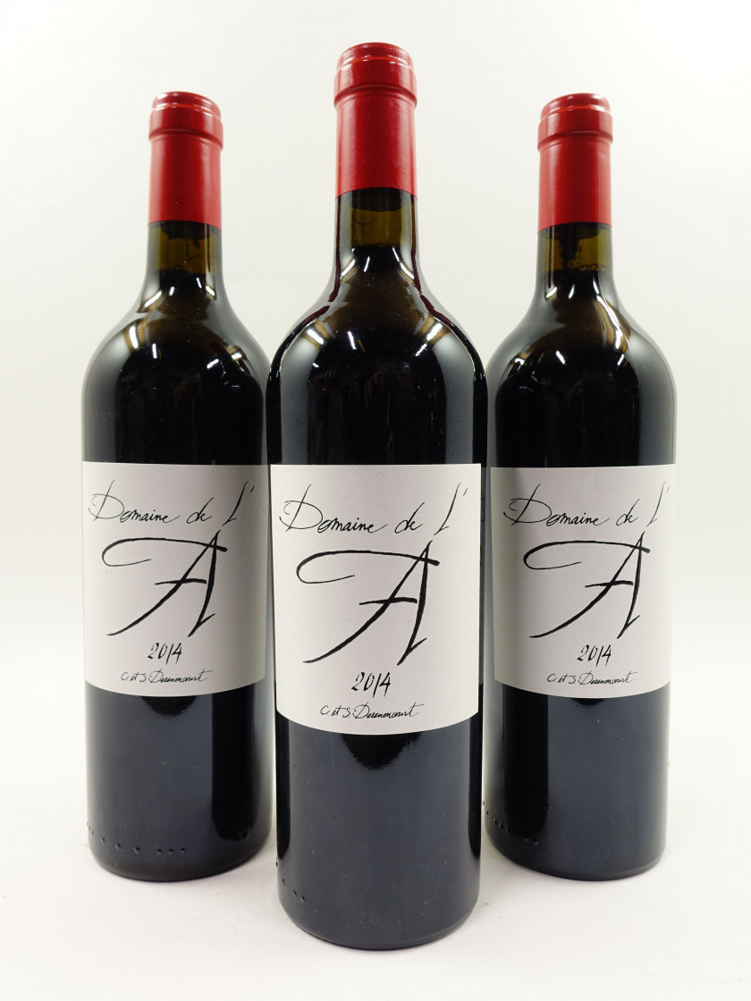 12 bouteilles DOMAINE de L'A 2014 Côtes de Castillon