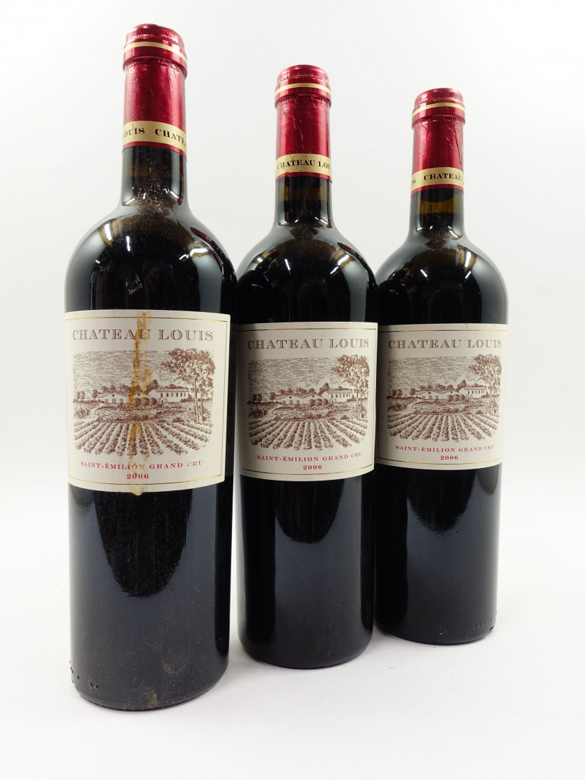 12 bouteilles CHÂTEAU LOUIS 2006 GC Saint Emilion (étiquettes léger tachées