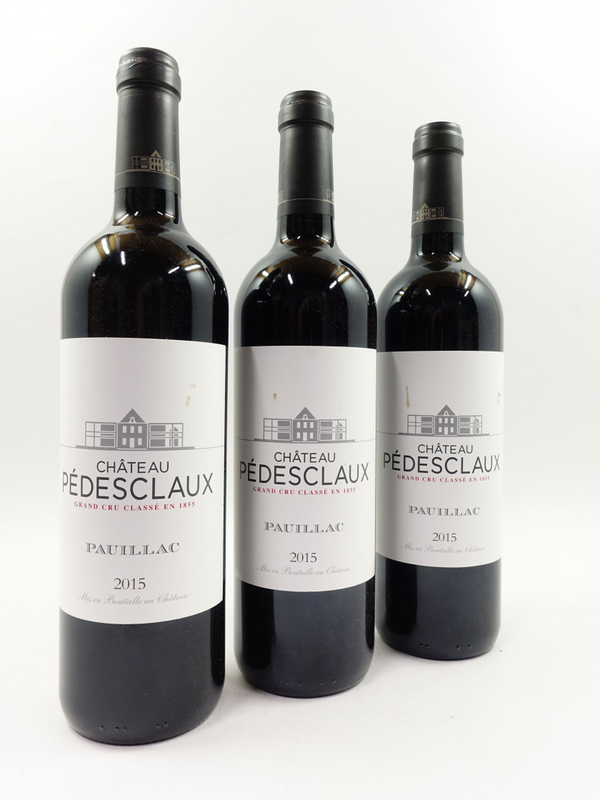 9 bouteilles CHÂTEAU PEDESCLAUX 2015 5è GC Pauillac (étiquettes léger tachées)