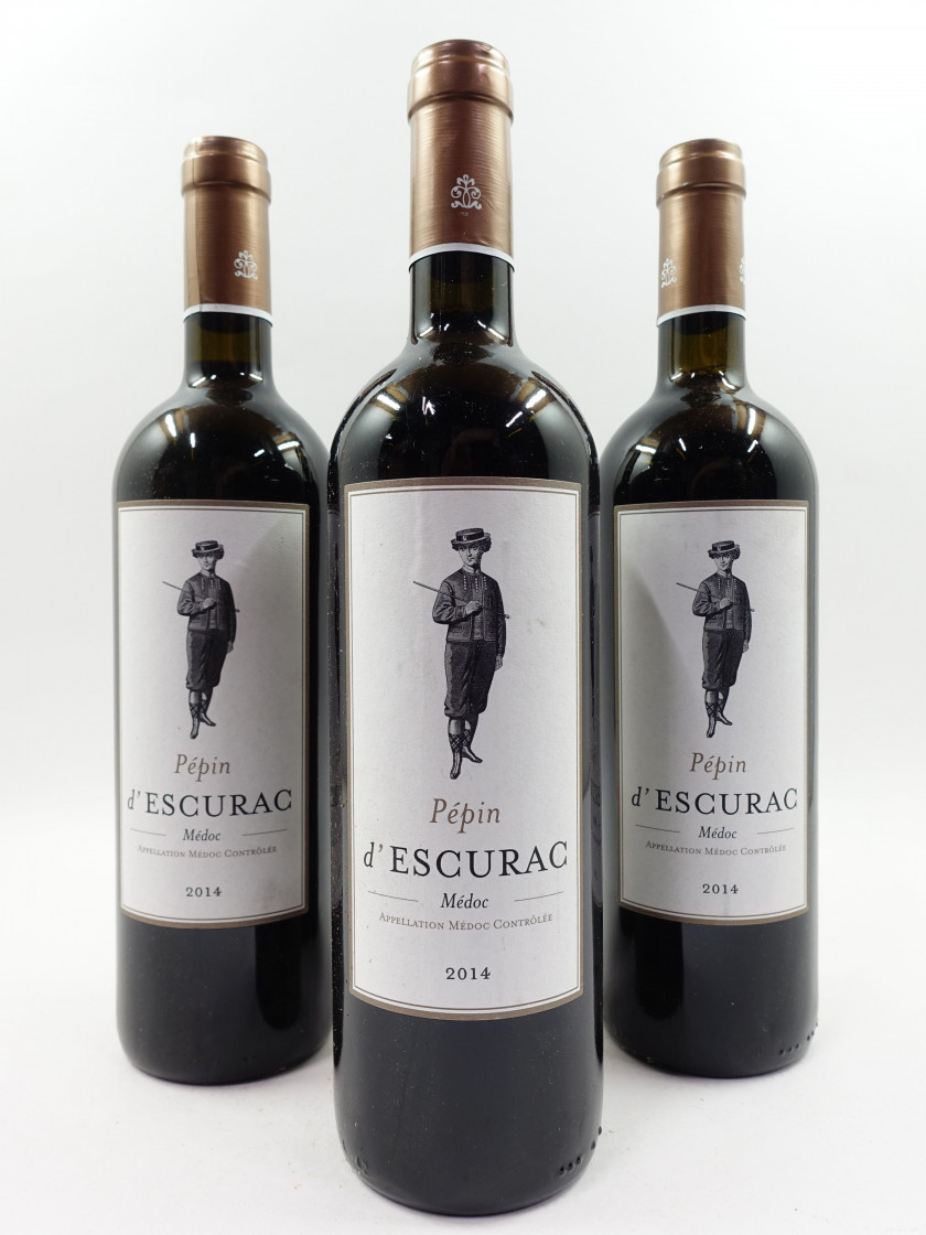 8 bouteilles PEPIN D'ESCURAC 2014 Médoc (étiquettes léger tachées)