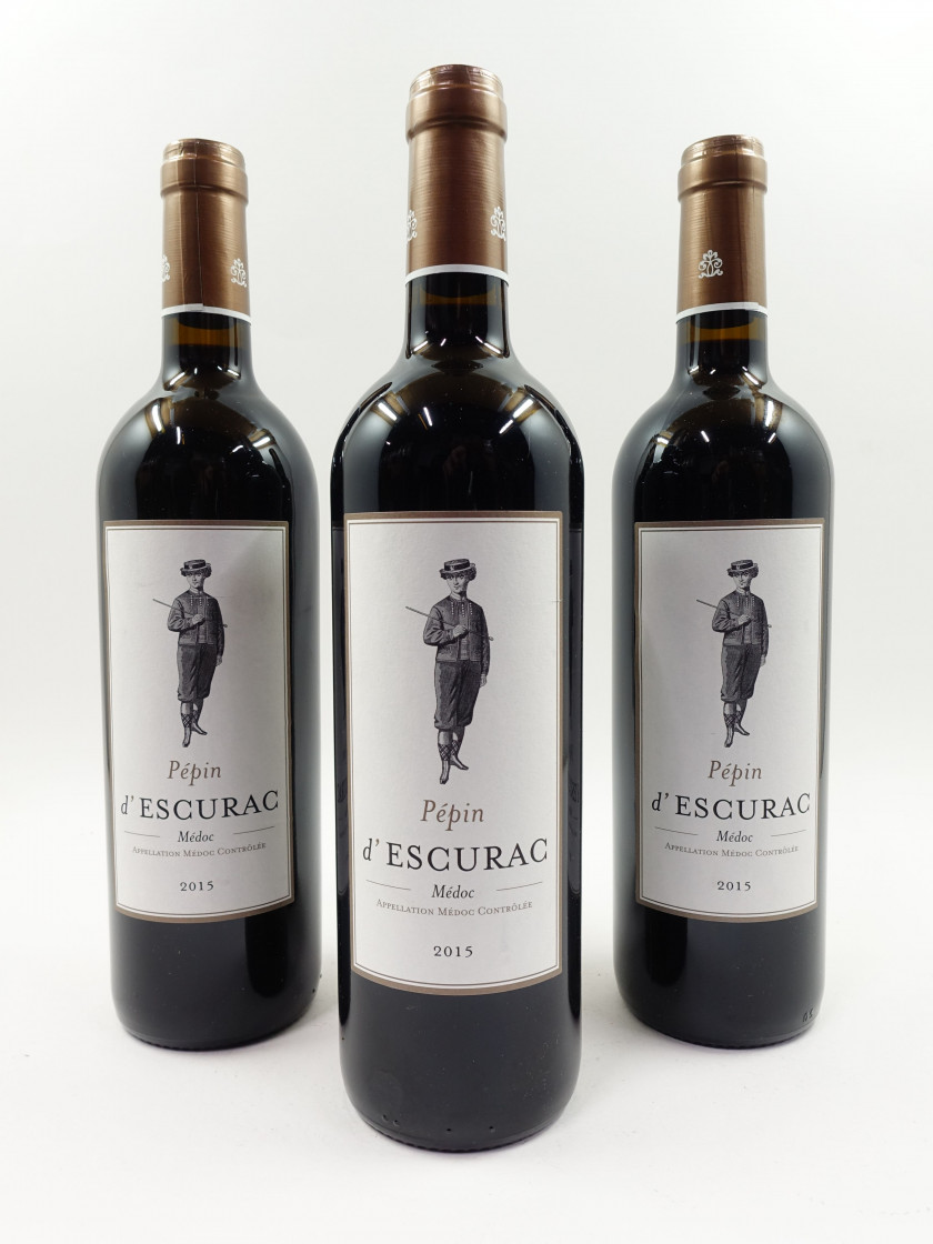 12 bouteilles PEPIN D'ESCURAC 2015 Médoc (étiquettes léger tachées)