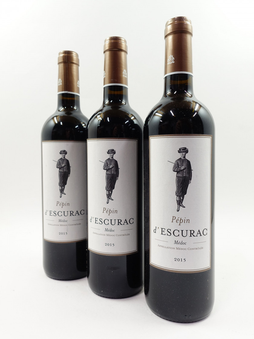 12 bouteilles PEPIN D'ESCURAC 2015 Médoc (étiquettes léger tachées)