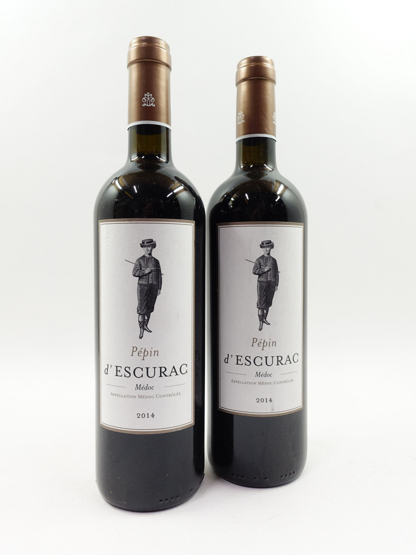 12 bouteilles PEPIN D'ESCURAC 2015 Médoc (étiquettes léger tachées)
