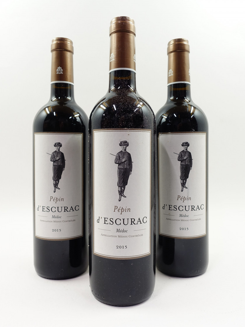 12 bouteilles PEPIN D'ESCURAC 2015 Médoc (étiquettes léger tachées)