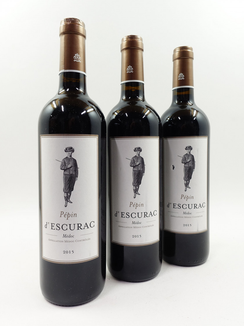 12 bouteilles PEPIN D'ESCURAC 2015 Médoc (étiquettes léger tachées)