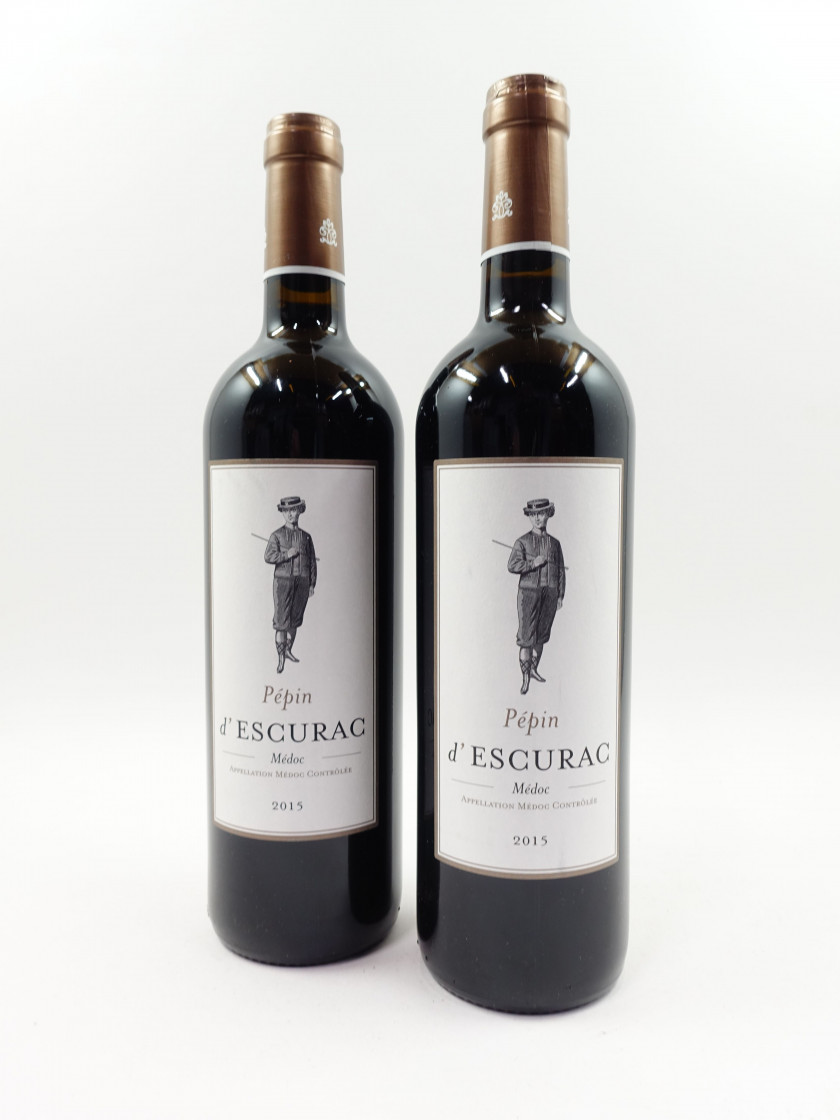 12 bouteilles PEPIN D'ESCURAC 2015 Médoc (étiquettes léger tachées)