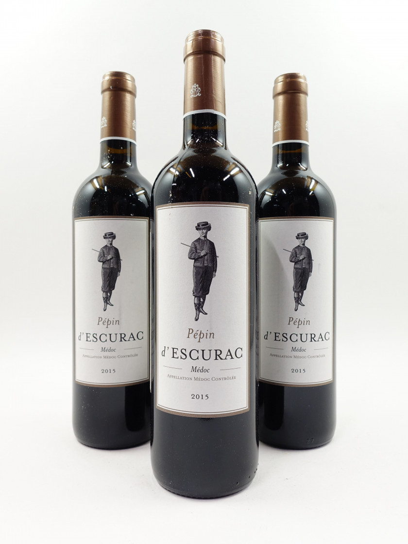 12 bouteilles PEPIN D'ESCURAC 2015 Médoc (étiquettes léger tachées)
