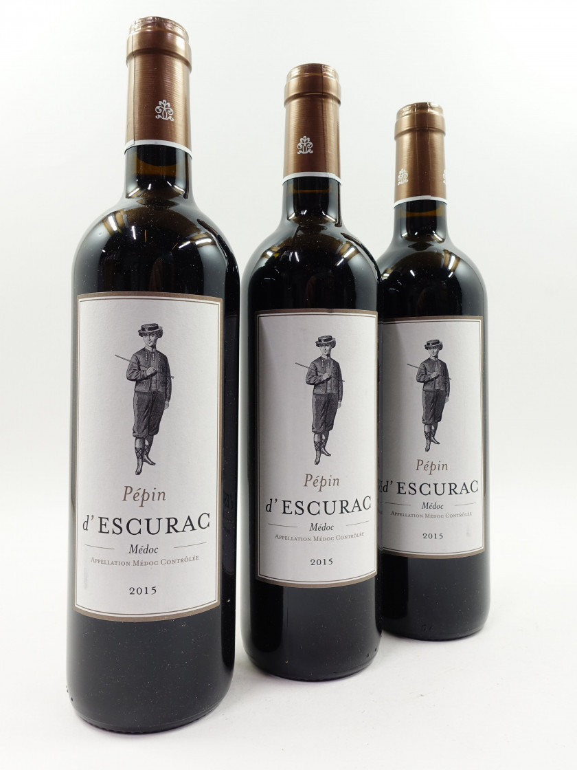 12 bouteilles PEPIN D'ESCURAC 2015 Médoc (étiquettes léger tachées)