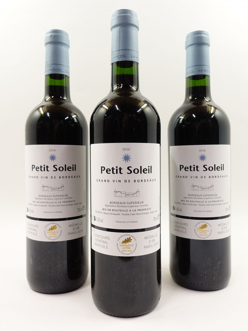 12 bouteilles PETIT SOLEIL 2016 Bordeaux Supérieur