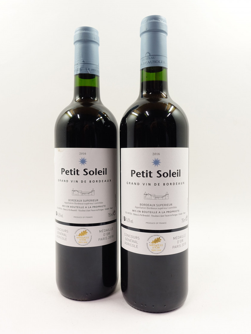 12 bouteilles PETIT SOLEIL 2016 Bordeaux Supérieur