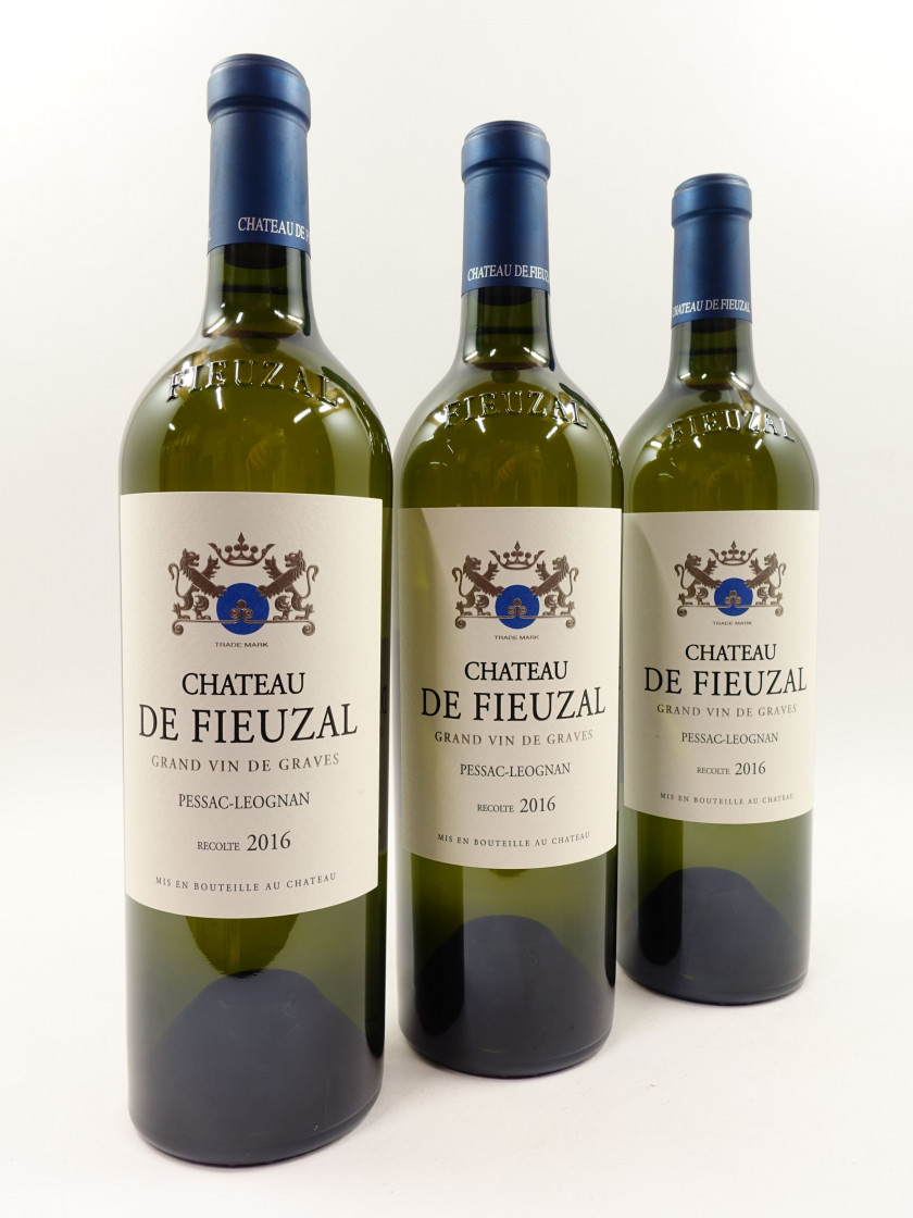 10 bouteilles CHÂTEAU DE FIEUZAL 2016 (blanc) CC Pessac Léognan