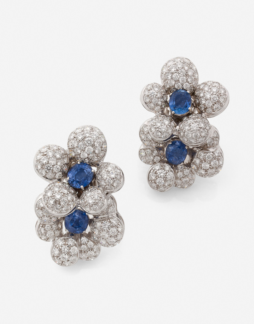 Paire de clips d'oreilles