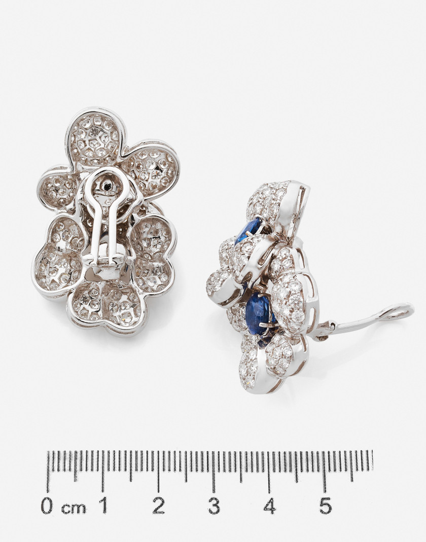 Paire de clips d'oreilles