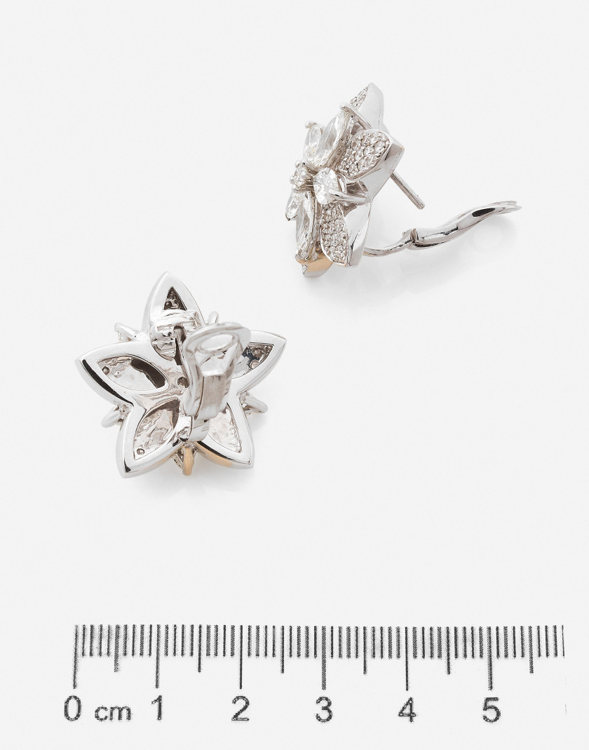 Paire de boucles d'oreilles