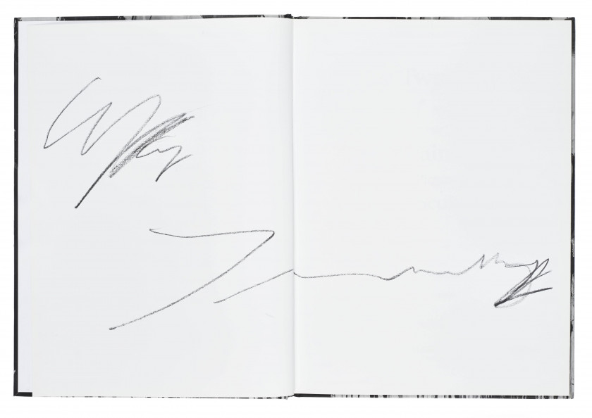 Cy TWOMBLY 1928 - 2011 Ten Paintings (Winter pictures 2004) and a sculpture