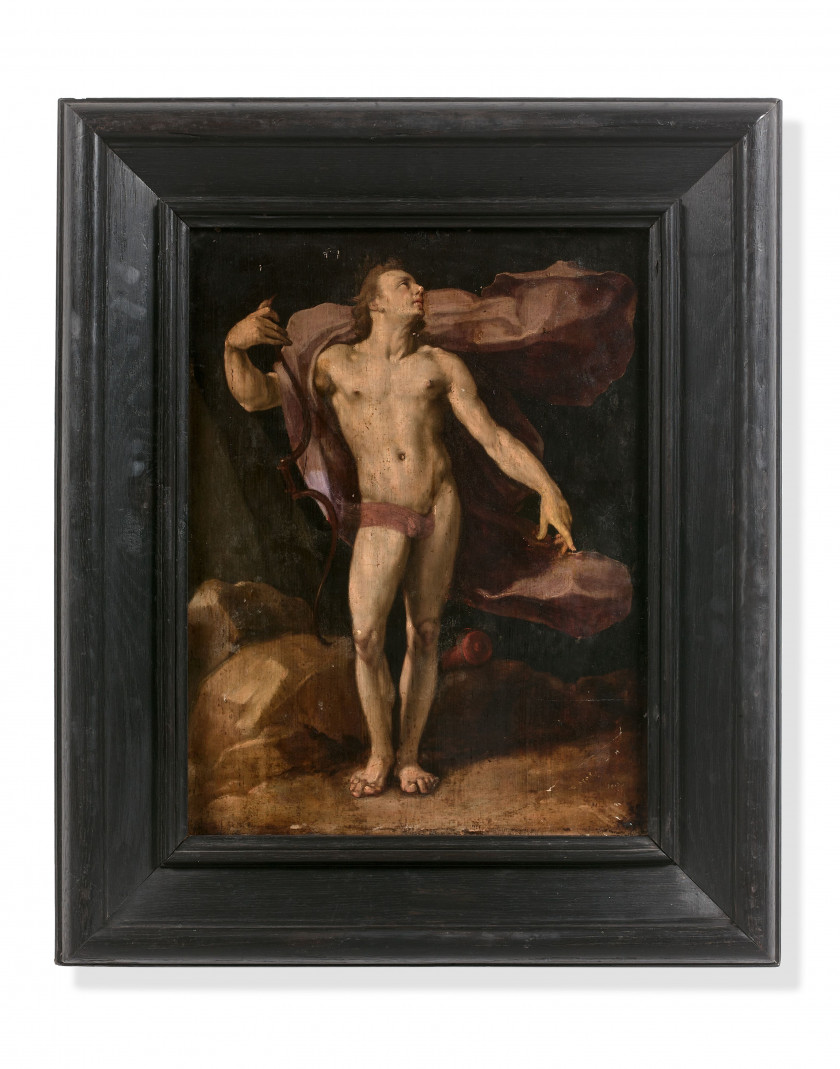 Cornelis Cornelisz. van HAARLEM Haarlem, 1562 - 1638 Apollon Huile sur panneau